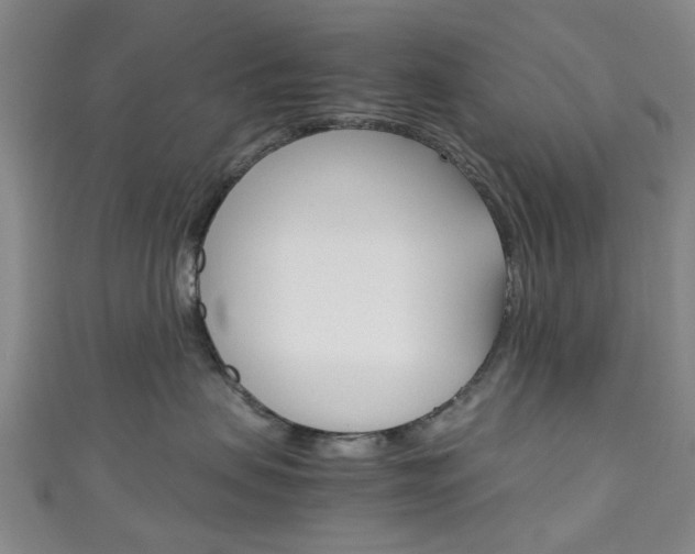 X0000111250479200907021023