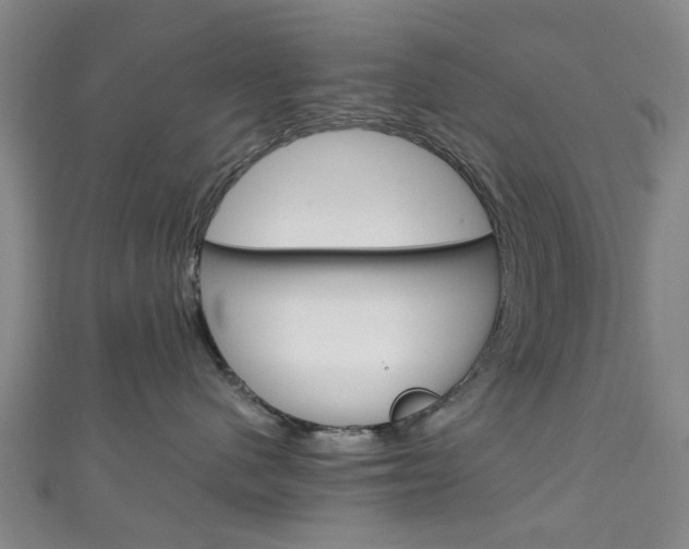 X0000111250480200907021023