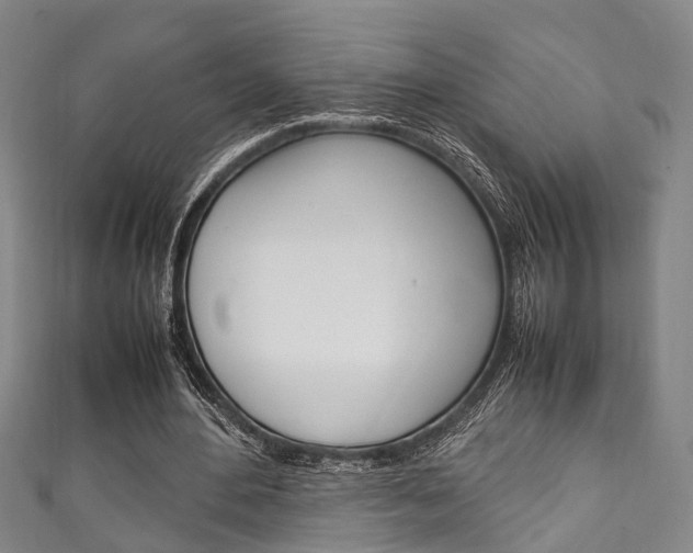 X0000111250484200907021023