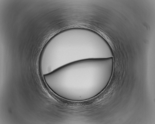 X0000111250485200907021023