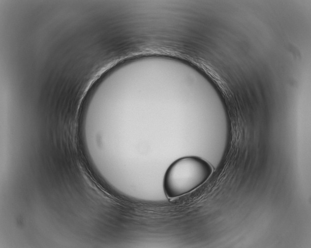 X0000111250488200907021023