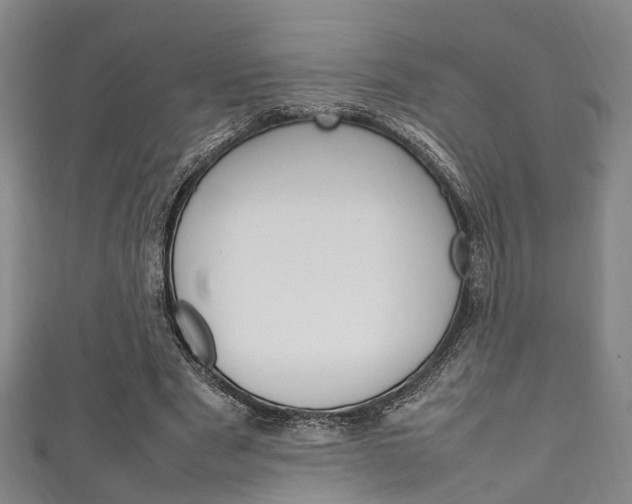 X0000111250489200907021023