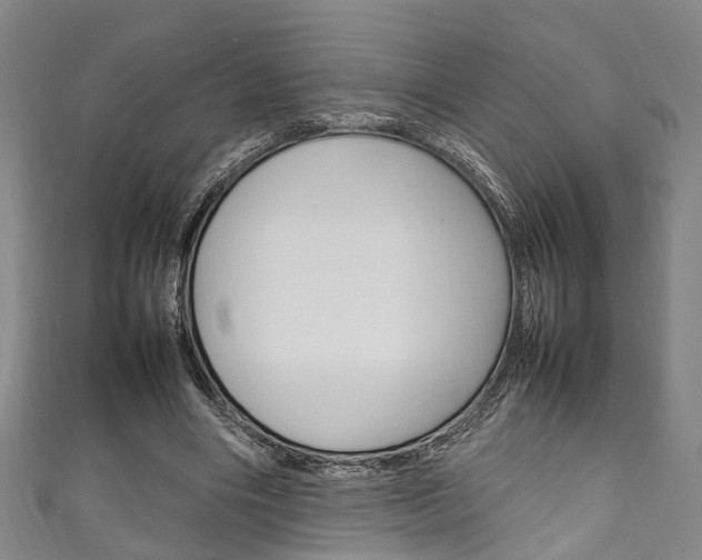 X0000111250490200907021023