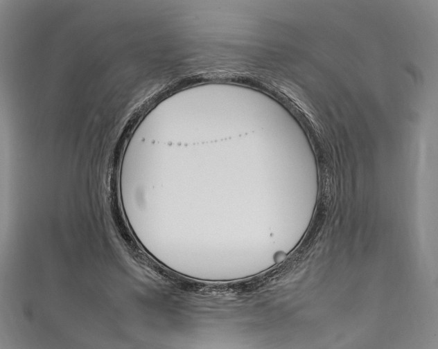 X0000111250491200907021023
