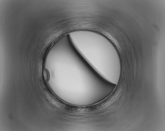 X0000111250493200907021023