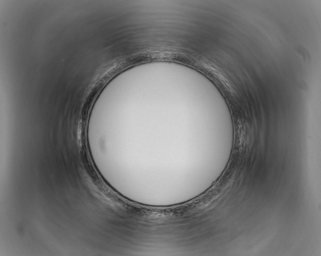 X0000111250494200907021023