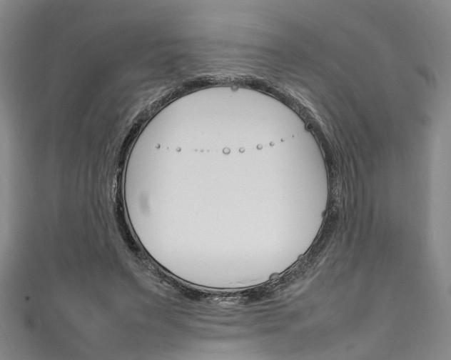 X0000111250495200907021023