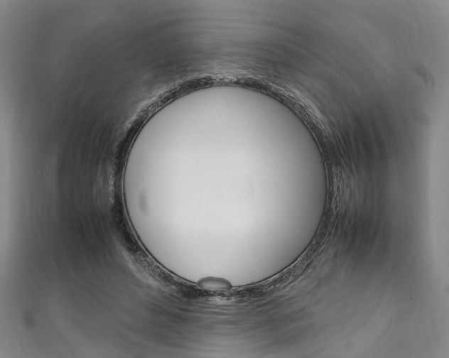X0000111250496200907021023