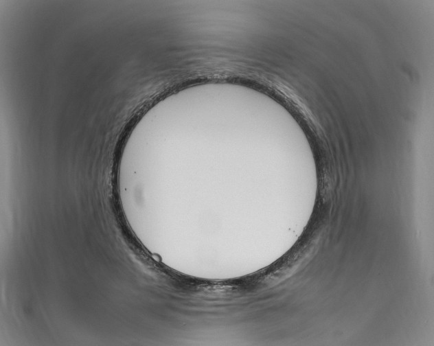 X0000111250497200907021023