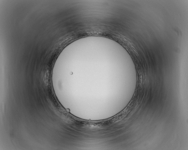 X0000111250498200907021023