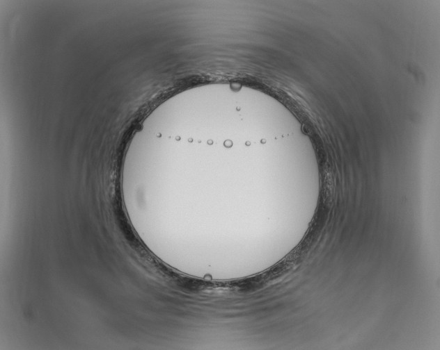 X0000111250499200907021023