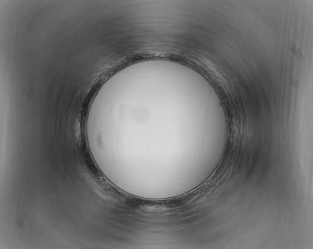 X0000111250500200907021022