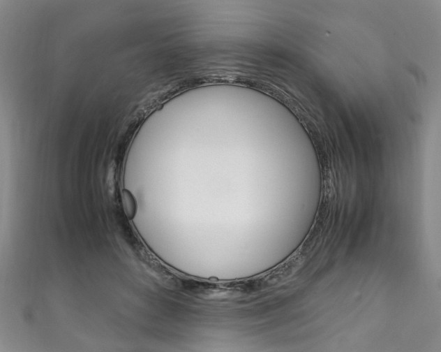X0000111250504200907021022