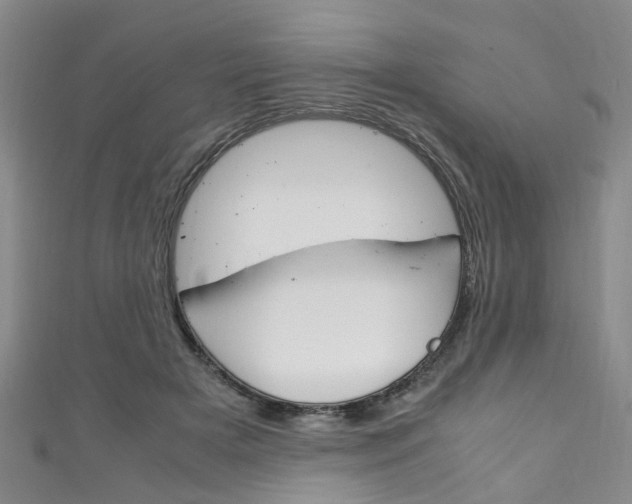 X0000111250505200907021022
