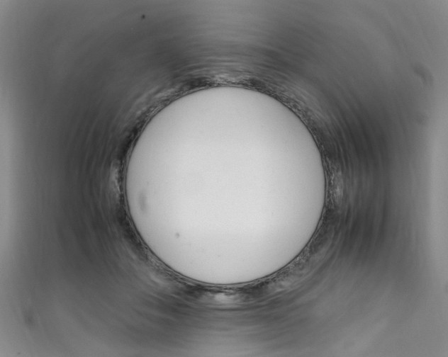 X0000111250506200907021022