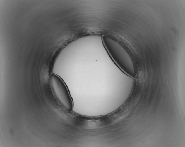 X0000111250508200907021022