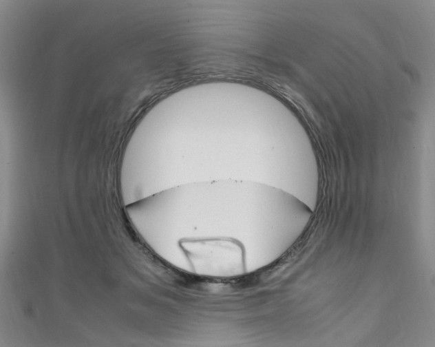 X0000111250509200907021022