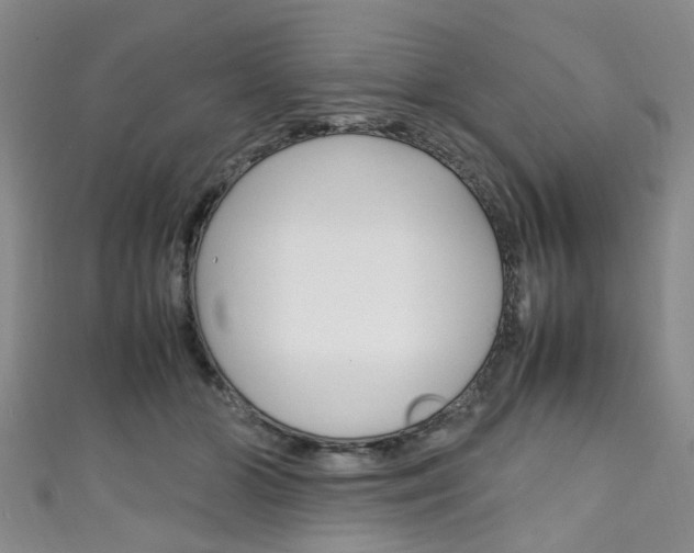 X0000111250510200907021022