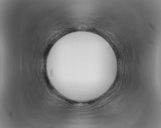 X0000111250511200907021022