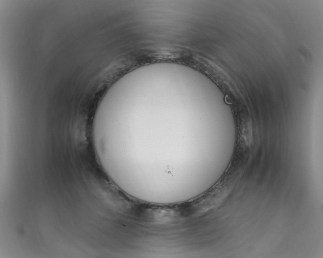 X0000111250512200907021022