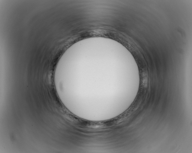X0000111250514200907021022