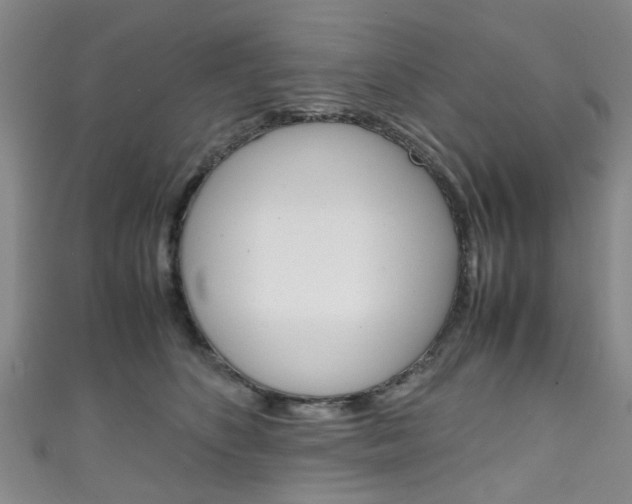 X0000111250516200907021022