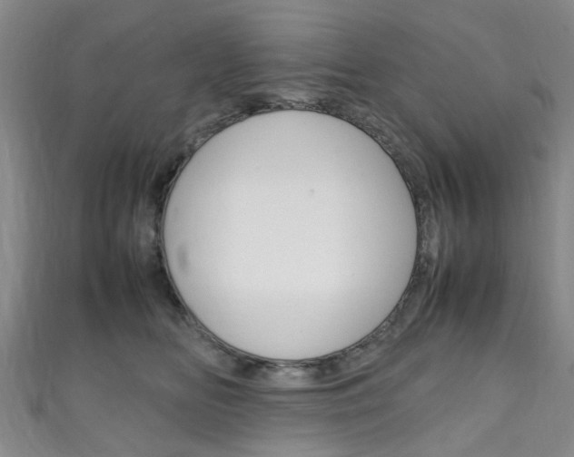 X0000111250518200907021022