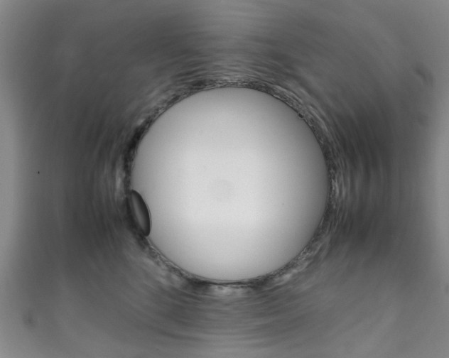 X0000111250520200907021022