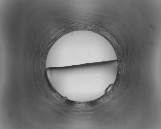 X0000111250521200907021022
