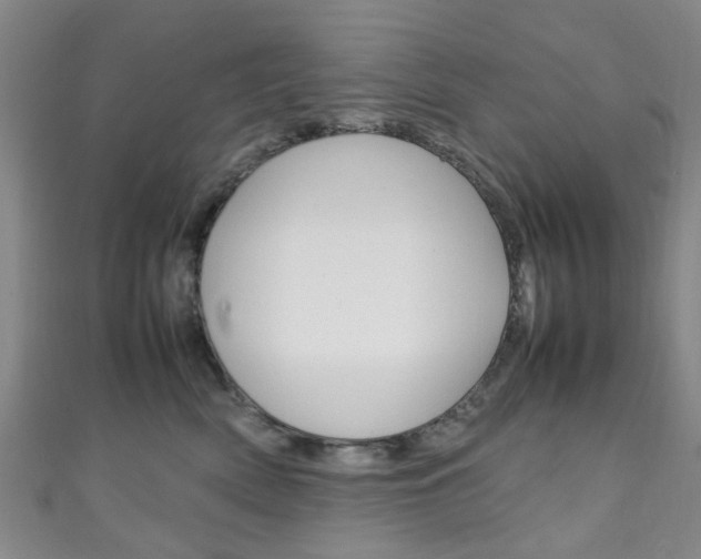 X0000111250522200907021022