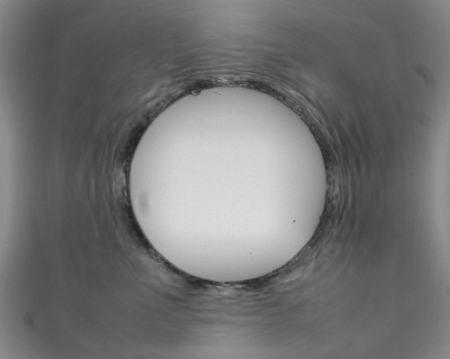 X0000111250523200907021022