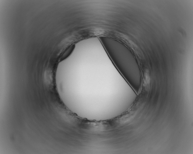 X0000111250524200907021022