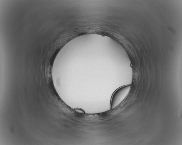 X0000111250525200907021022