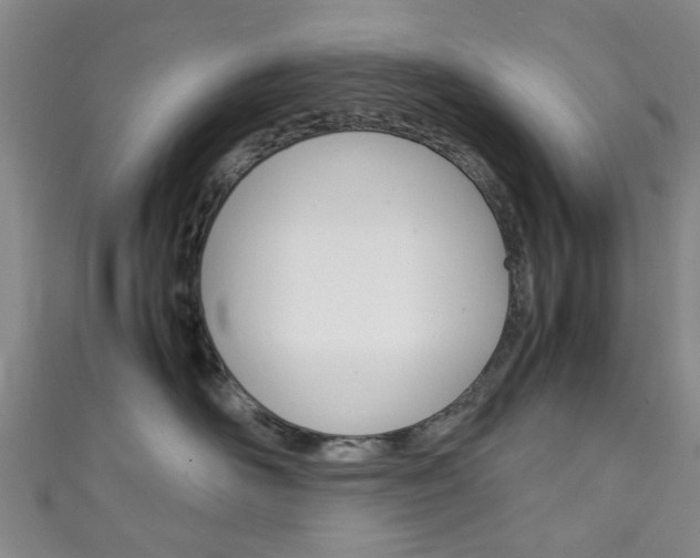 X0000111250526200907021022