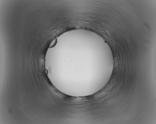 X0000111250527200907021022