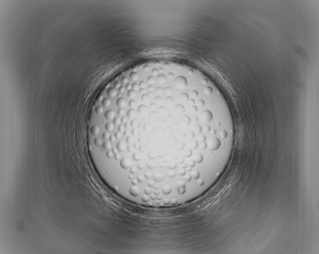X0000111250529200907021022