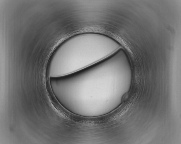 X0000111250530200907021022