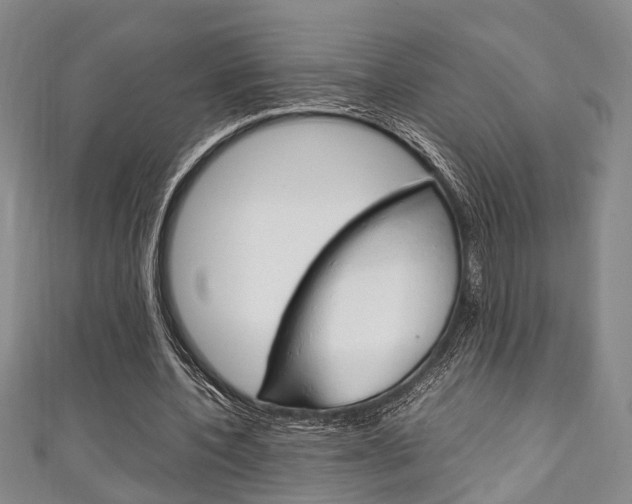 X0000111250532200907021022
