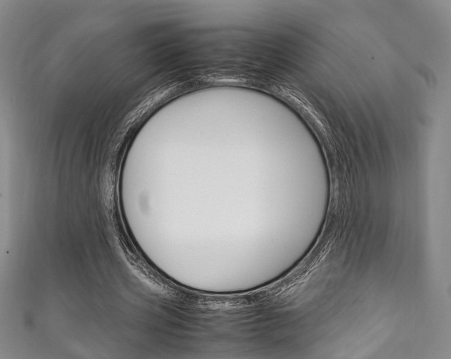X0000111250533200907021022