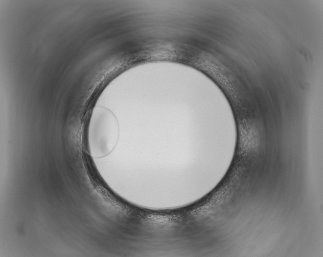 X0000111250534200907021022