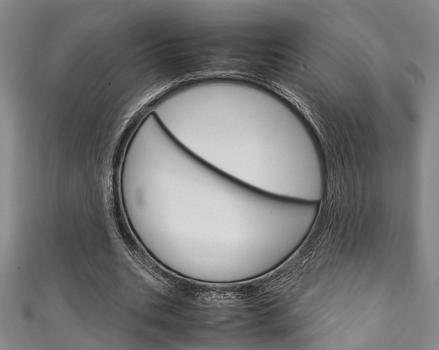 X0000111250535200907021022