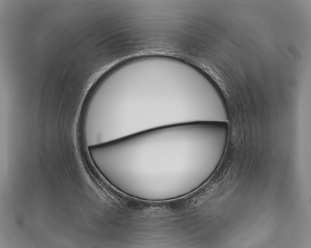 X0000111250536200907021022