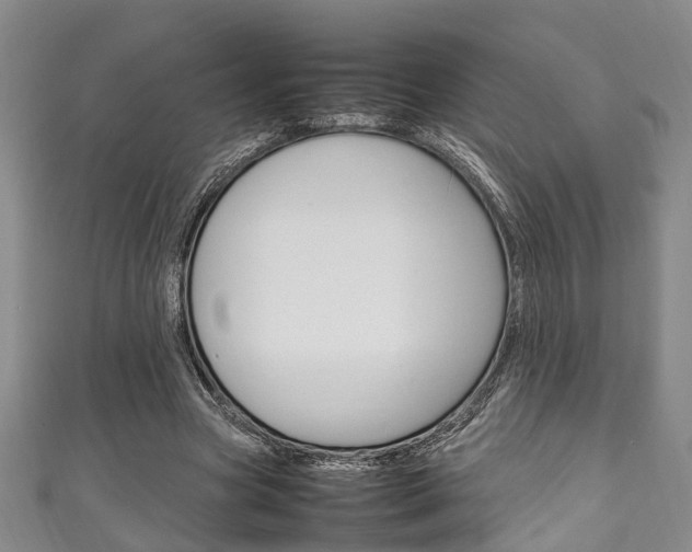 X0000111250537200907021022