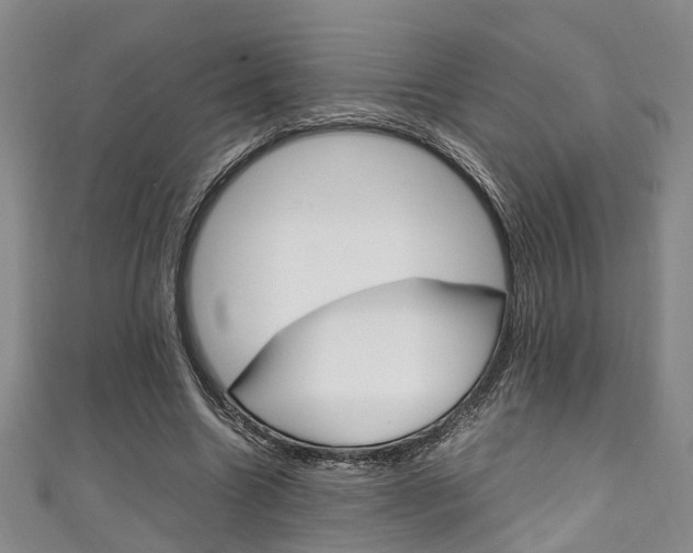 X0000111250538200907021022