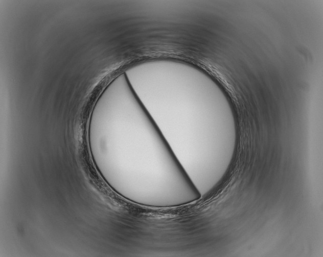 X0000111250539200907021022