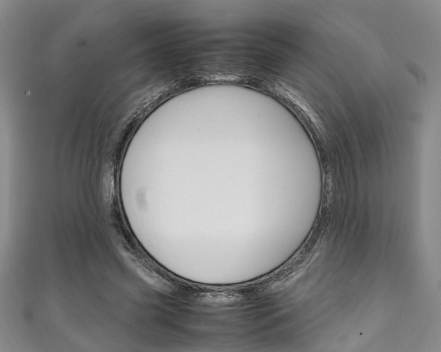 X0000111250541200907021022