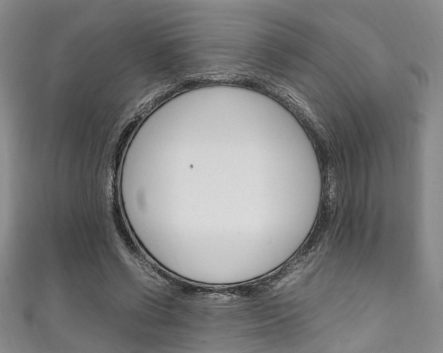 X0000111250542200907021022