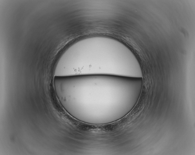 X0000111250544200907021022