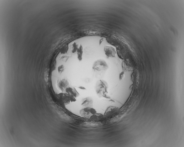 X0000111250545200907021022