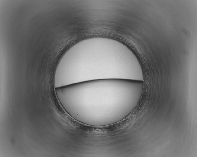 X0000111250546200907021022